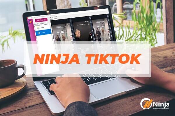 Phần mềm seeding tiktok tự động