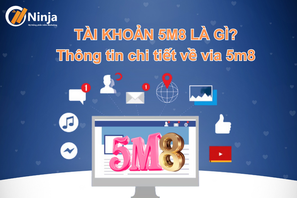 Giải đáp: Tài khoản 5m8 là gì?