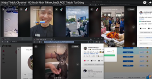 Phần mềm nuôi nick Tiktok, seeding, tăng follow Tiktok